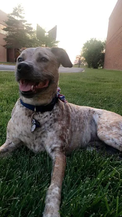 Animal Emergency Clinic Picture 9