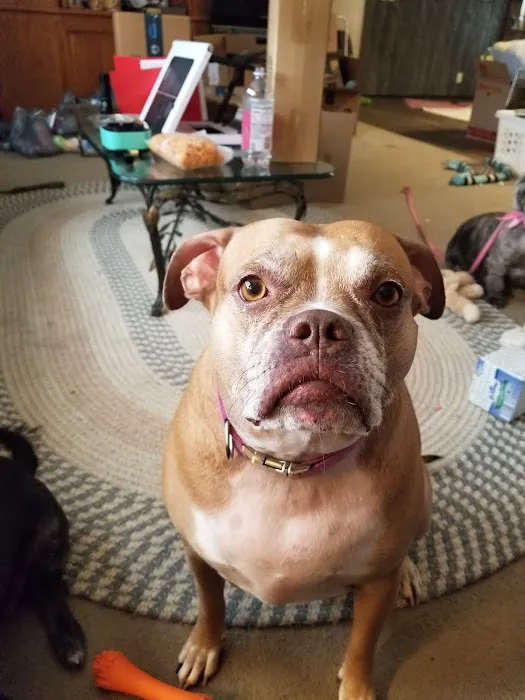 Bryan Road Animal Hospital Picture 2