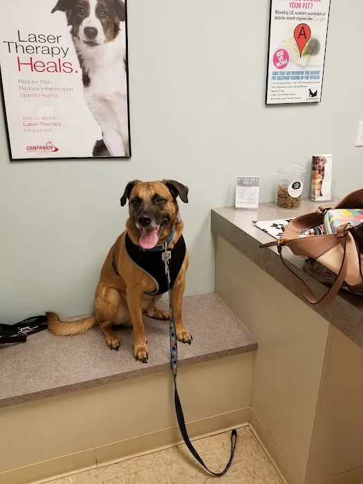 Bryan Road Animal Hospital Picture 1