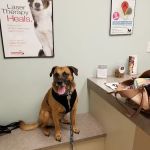 Bryan Road Animal Hospital