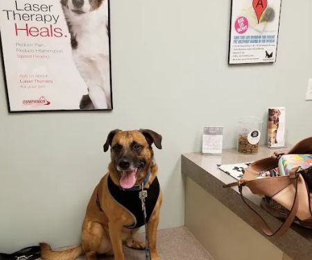 Bryan Road Animal Hospital