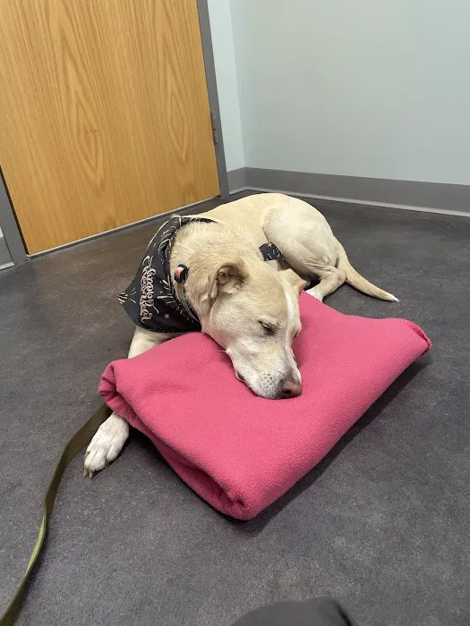 Bryan Road Animal Hospital Picture 4