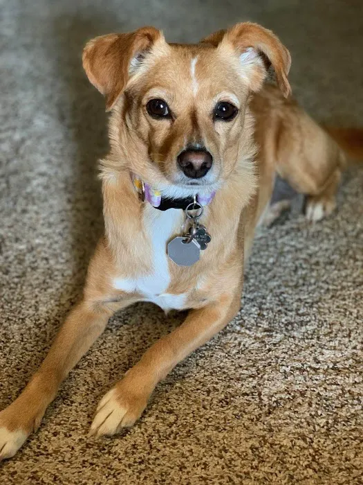 Bryan Road Animal Hospital Picture 5