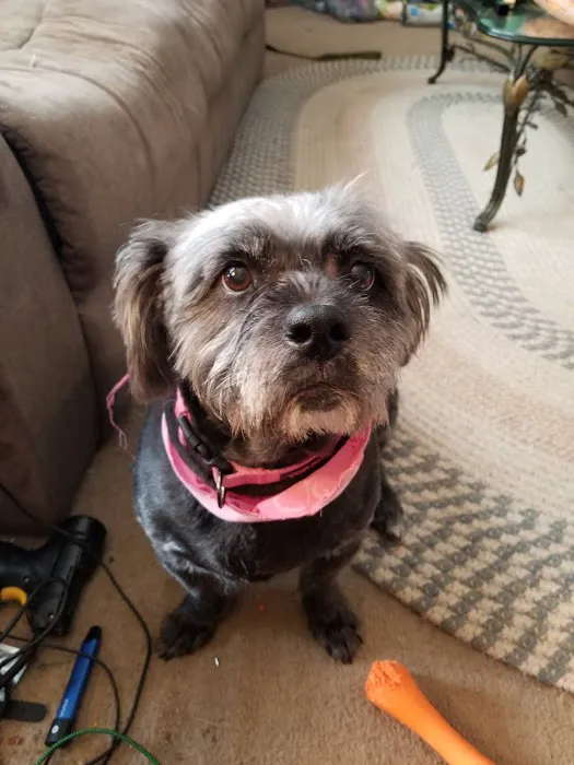 Bryan Road Animal Hospital Picture 3