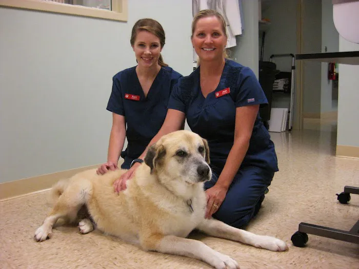 Bryan Road Animal Hospital Picture 6