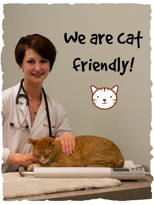 Bryan Road Animal Hospital Picture 10