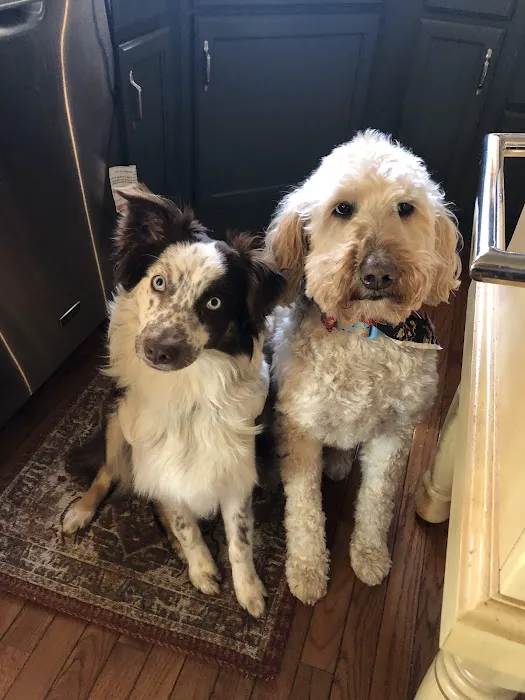 Bryan Road Animal Hospital Picture 9