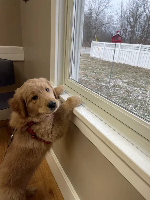 North Main Animal Hospital Picture 4