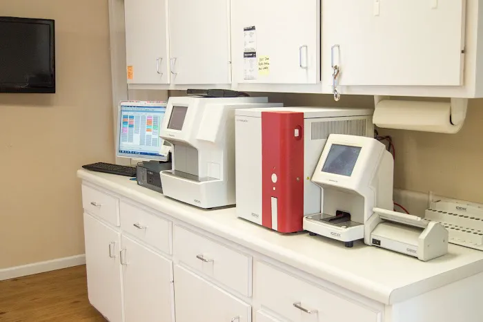 North Main Animal Hospital Picture 2