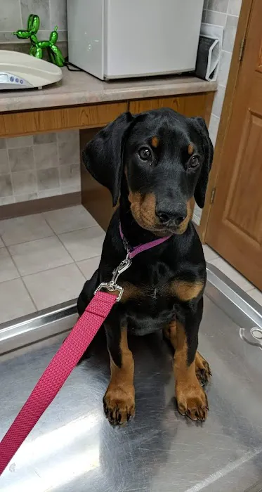 Centralia Veterinary Clinic Picture 1