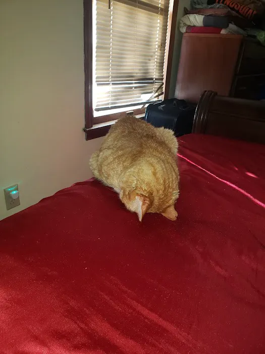 Centralia Veterinary Clinic Picture 2