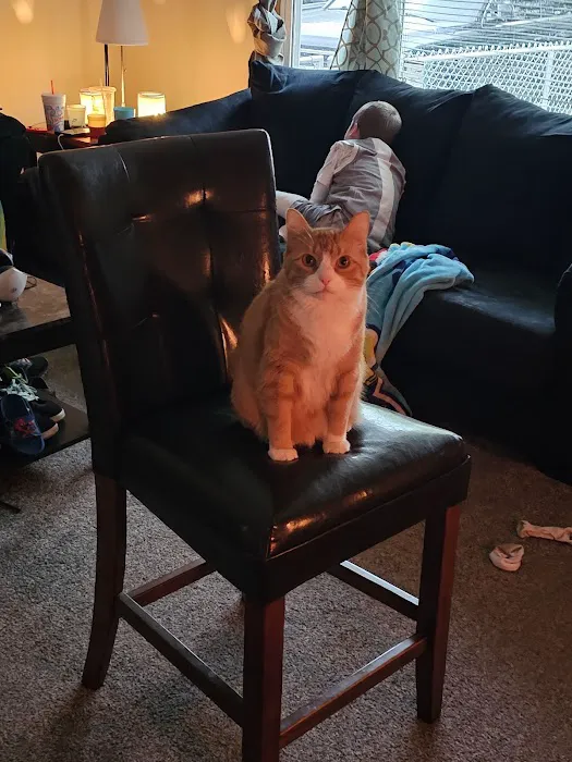 Centralia Veterinary Clinic Picture 4