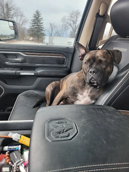 Centralia Veterinary Clinic Picture 7