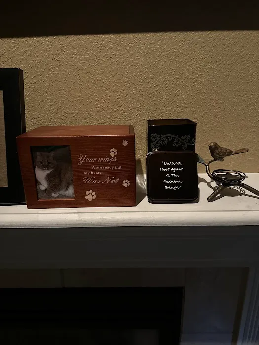 Centralia Veterinary Clinic Picture 6