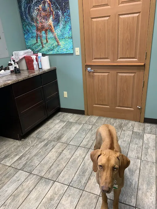 Centralia Veterinary Clinic Picture 8