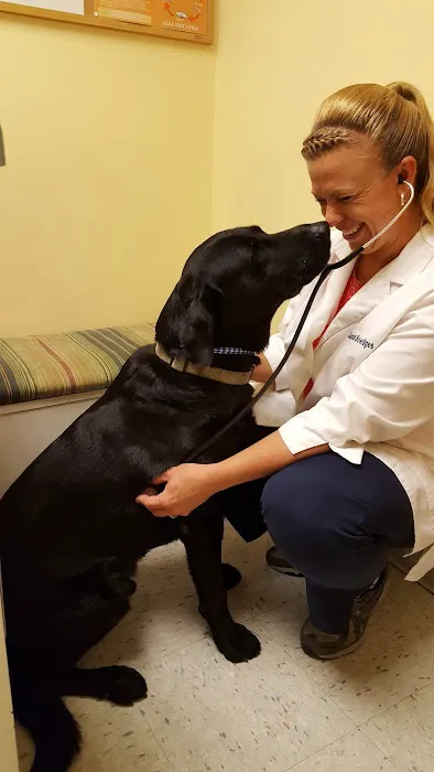 Companion Animal Hospital- Vet Clinic Montgomery City MO Picture 5