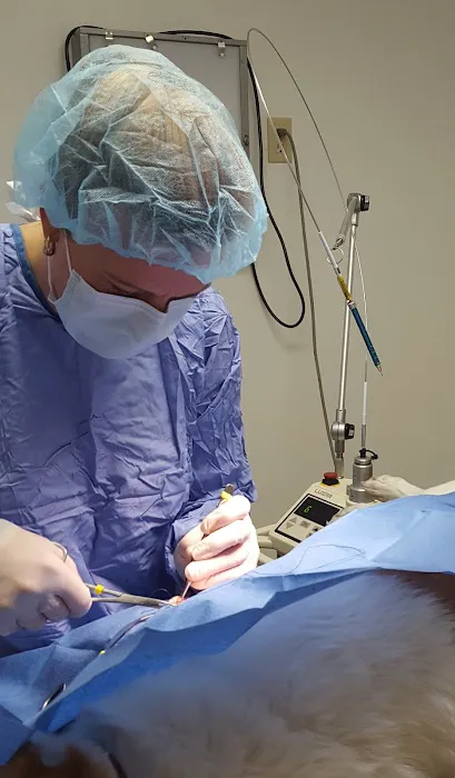 Companion Animal Hospital- Vet Clinic Montgomery City MO Picture 7