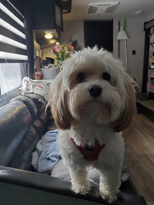 Hometown Veterinary Clinic Picture 2