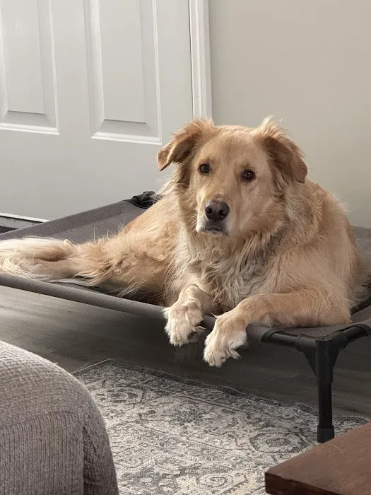 Hometown Veterinary Clinic Picture 1