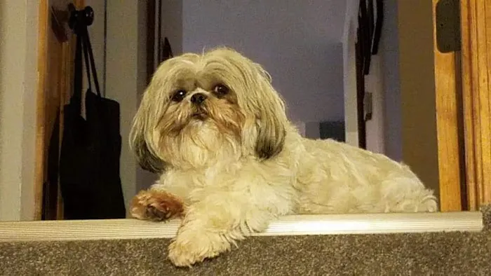 Hometown Veterinary Clinic Picture 7