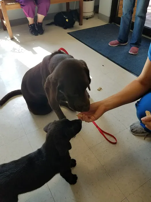 East Brook Animal Clinic Picture 3