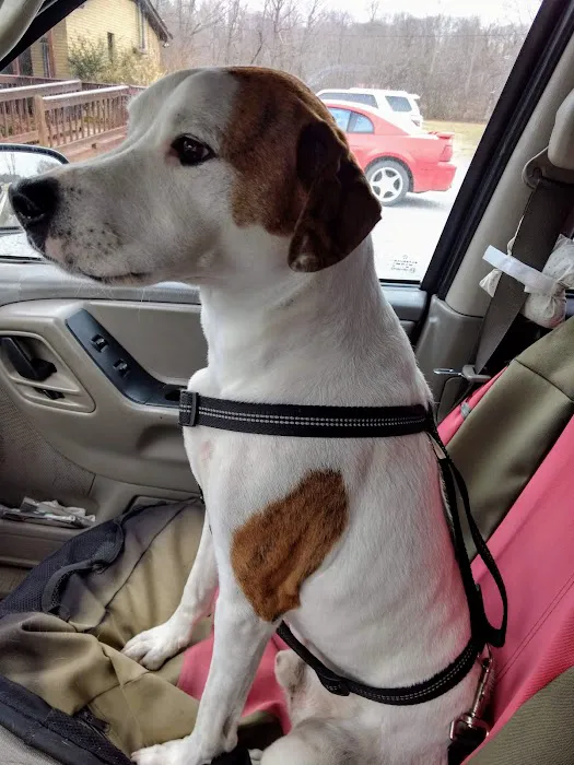 East Brook Animal Clinic Picture 5