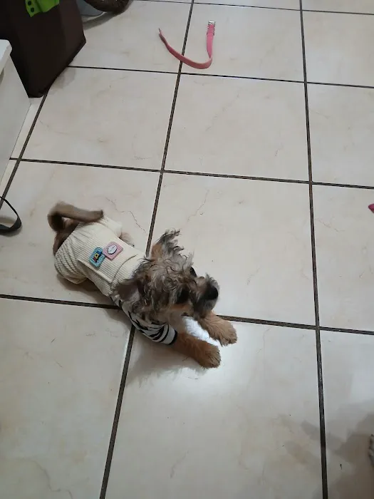 East Brook Animal Clinic Picture 1