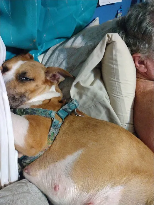 East Brook Animal Clinic Picture 7