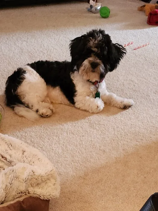 East Brook Animal Clinic Picture 9