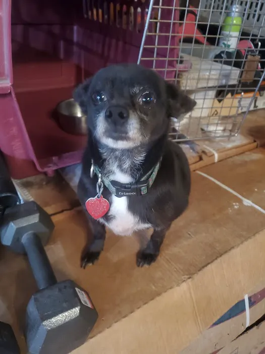 East Brook Animal Clinic Picture 10