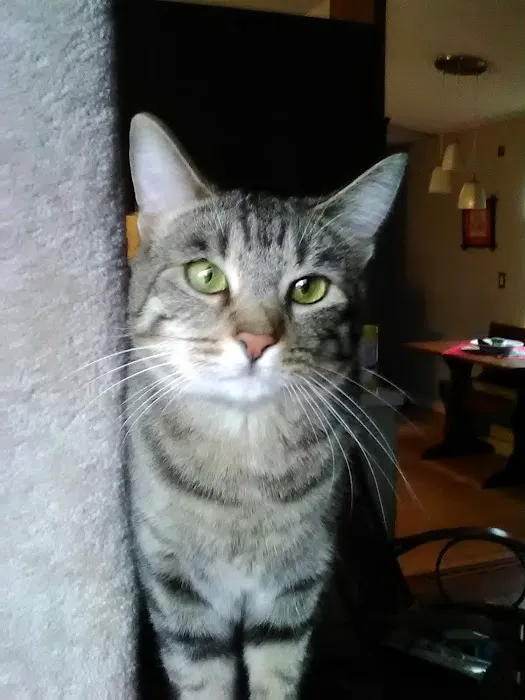 McEwen Animal Clinic Picture 3