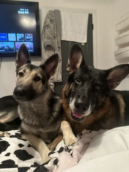 McEwen Animal Clinic Picture 6