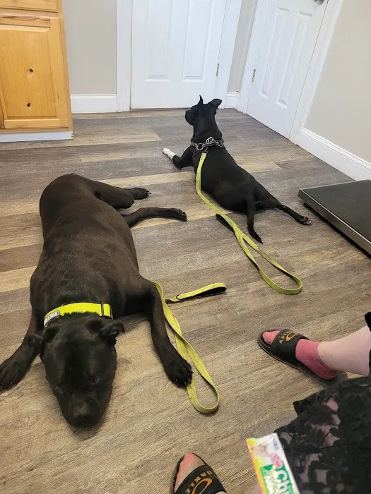 McEwen Animal Clinic Picture 5