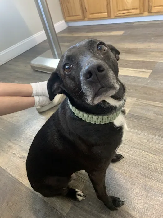 McEwen Animal Clinic Picture 7