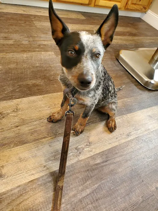 McEwen Animal Clinic Picture 10