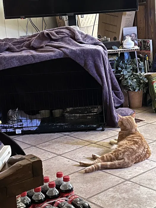 Houston County Animal Clinic Picture 1