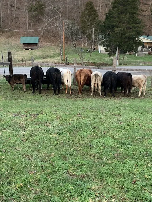 Houston County Animal Clinic Picture 2