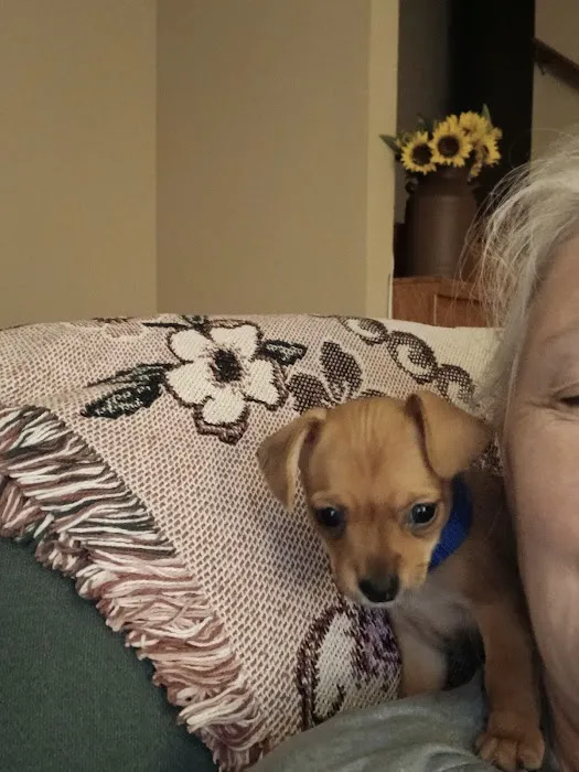 Houston County Animal Clinic Picture 4