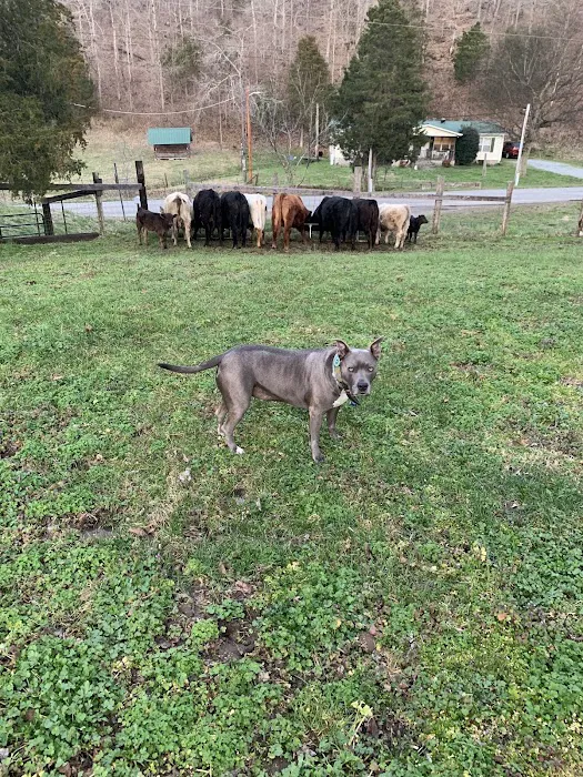 Houston County Animal Clinic Picture 6