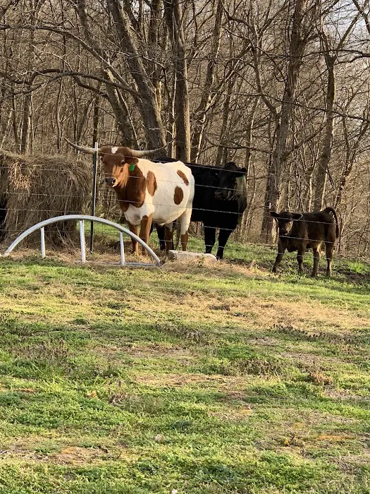 Houston County Animal Clinic Picture 7