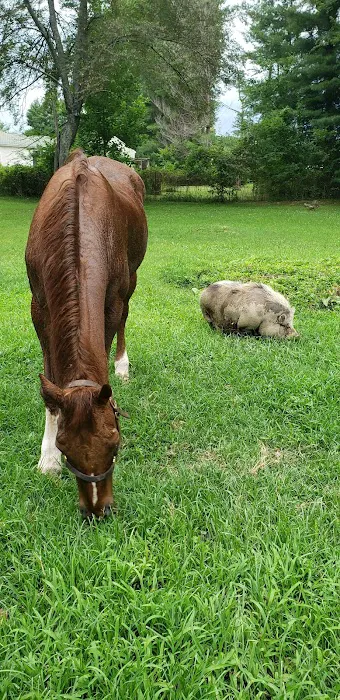 Houston County Animal Clinic Picture 8
