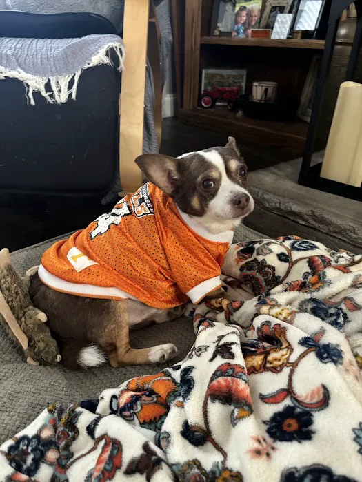 Houston County Animal Clinic Picture 9