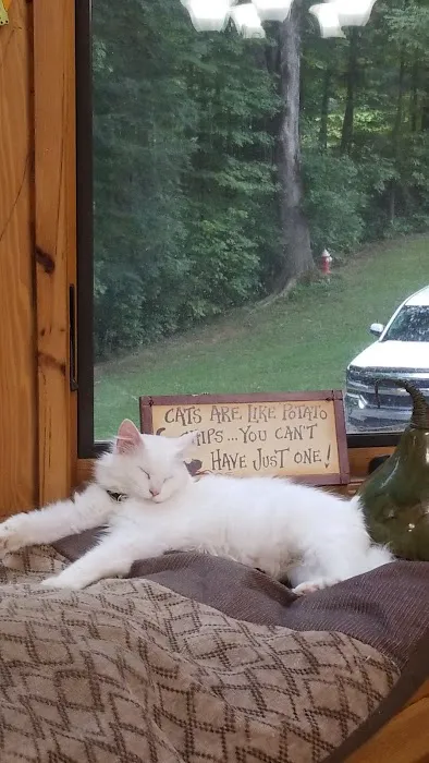 Houston County Animal Clinic: Turney Mark DVM Picture 1