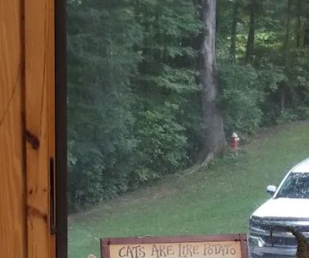 Houston County Animal Clinic: Turney Mark DVM