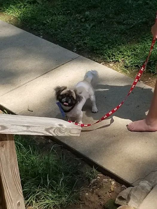 Houston County Animal Clinic: Turney Mark DVM Picture 2