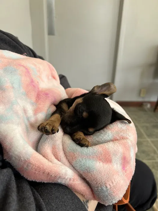 Eternity Animal Healthcare Picture 1