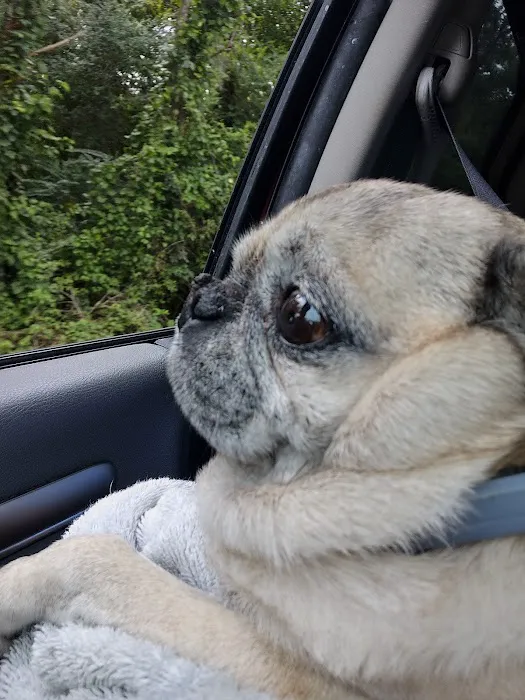 Eternity Animal Healthcare Picture 2