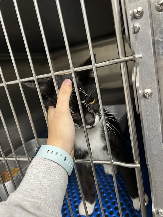 Trenton Animal Clinic Picture 2