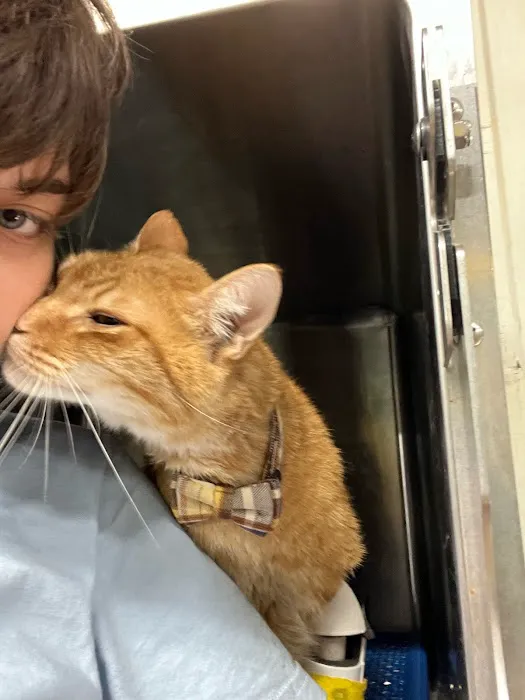 Trenton Animal Clinic Picture 1