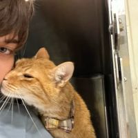 Trenton Animal Clinic ico